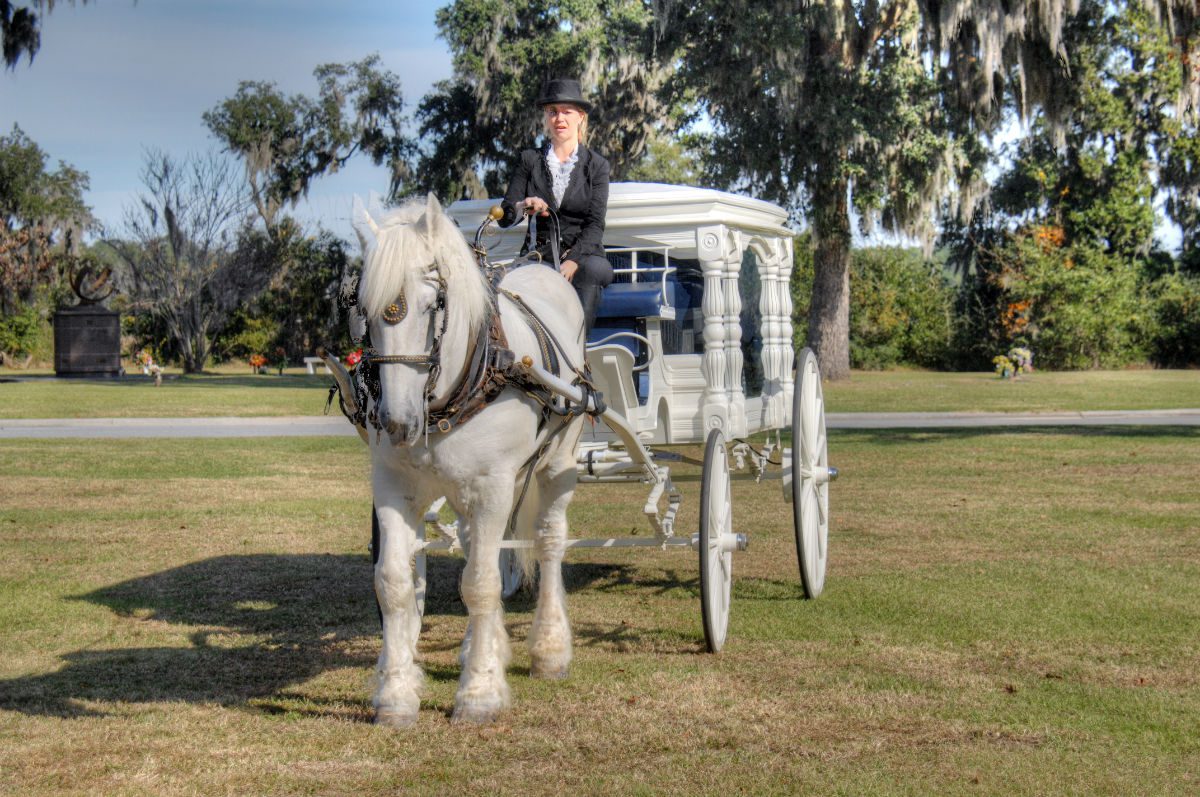 horse drawn carriage