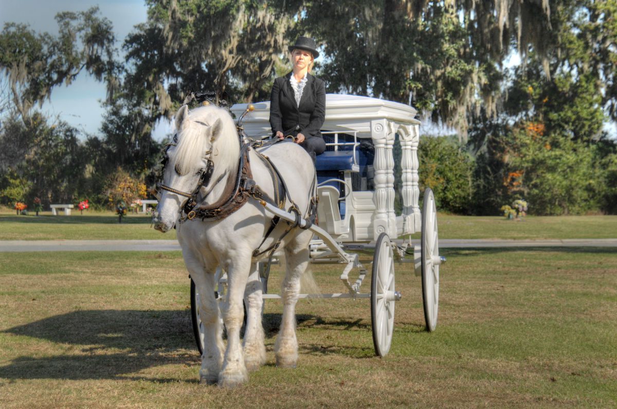 horse drawn hearse