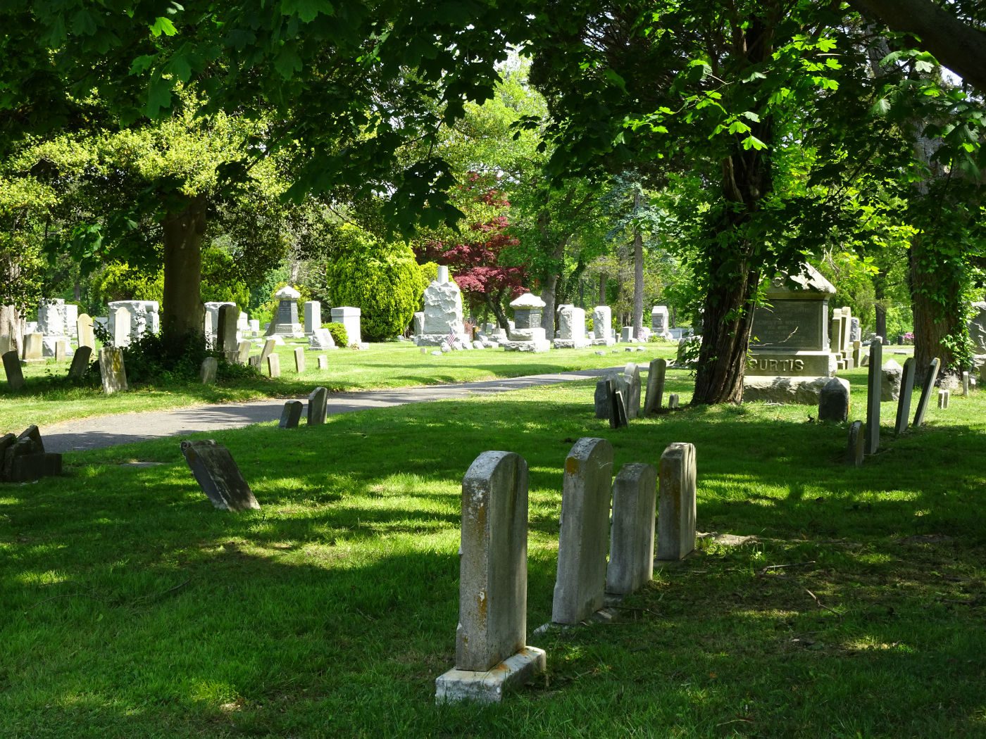 cemetery surrounded by grass and trees cemetery surrounded by grass and trees