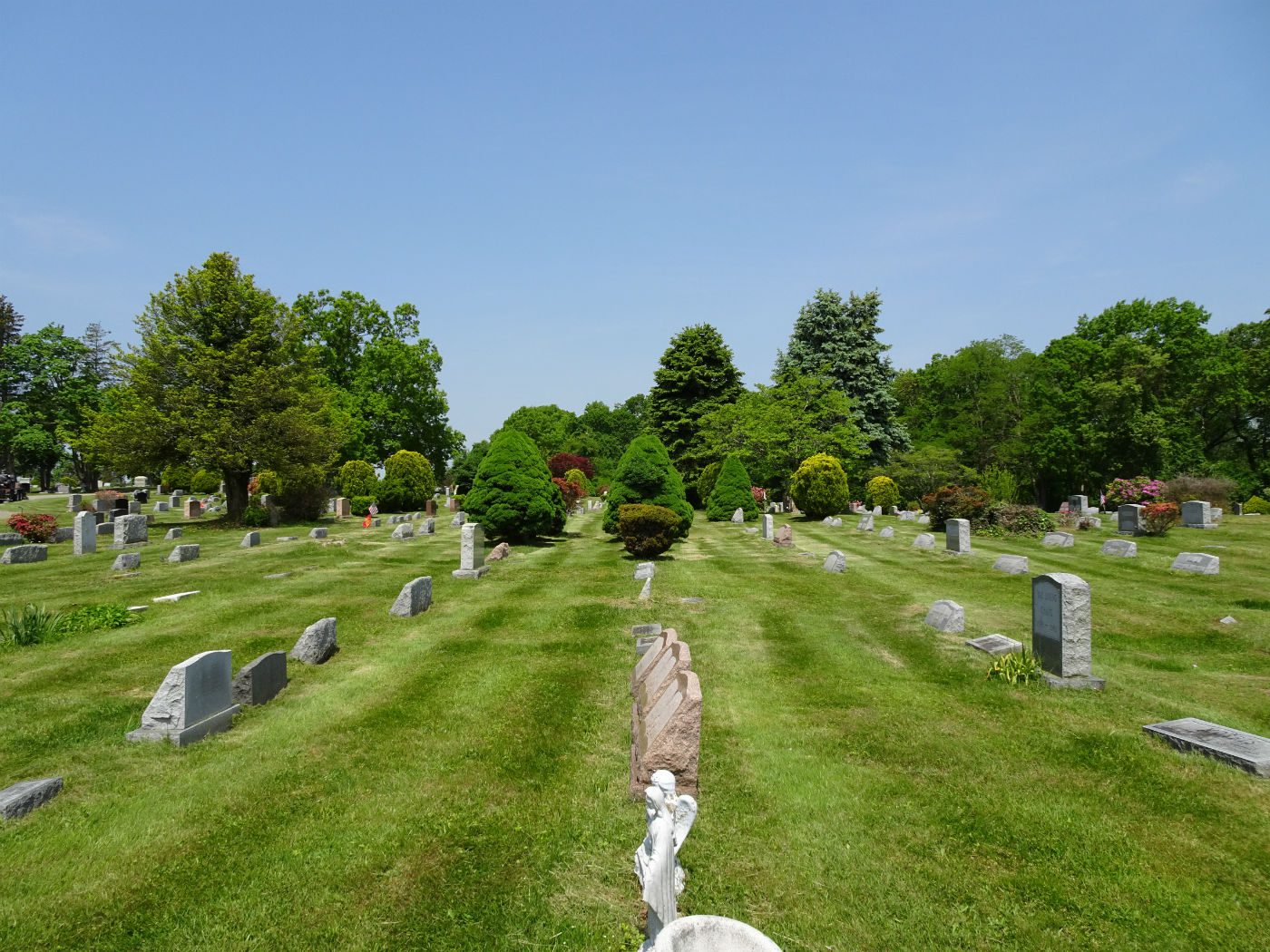cemetery cemetery