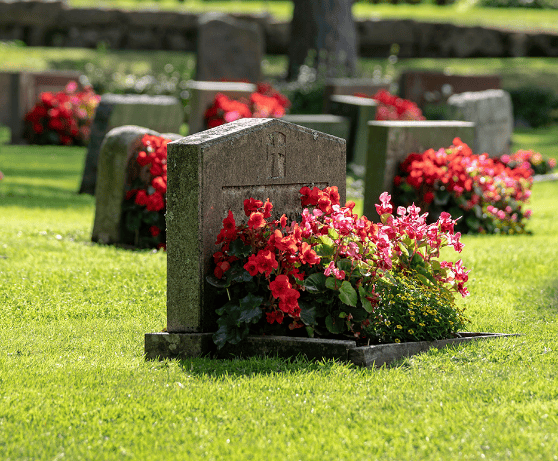 Headstones with flowers Headstones with flowers