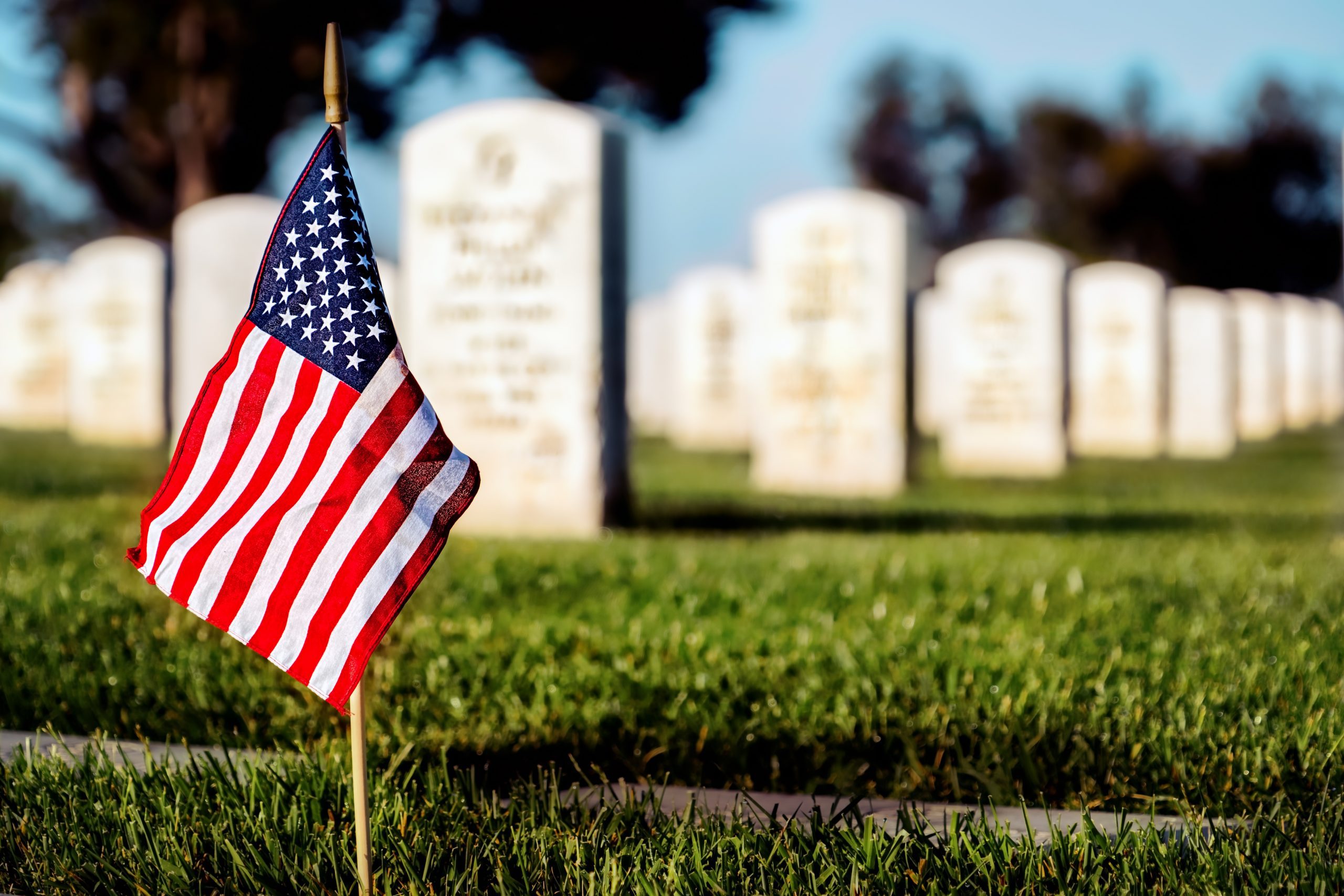 American flag in cemetery American flag in cemetery