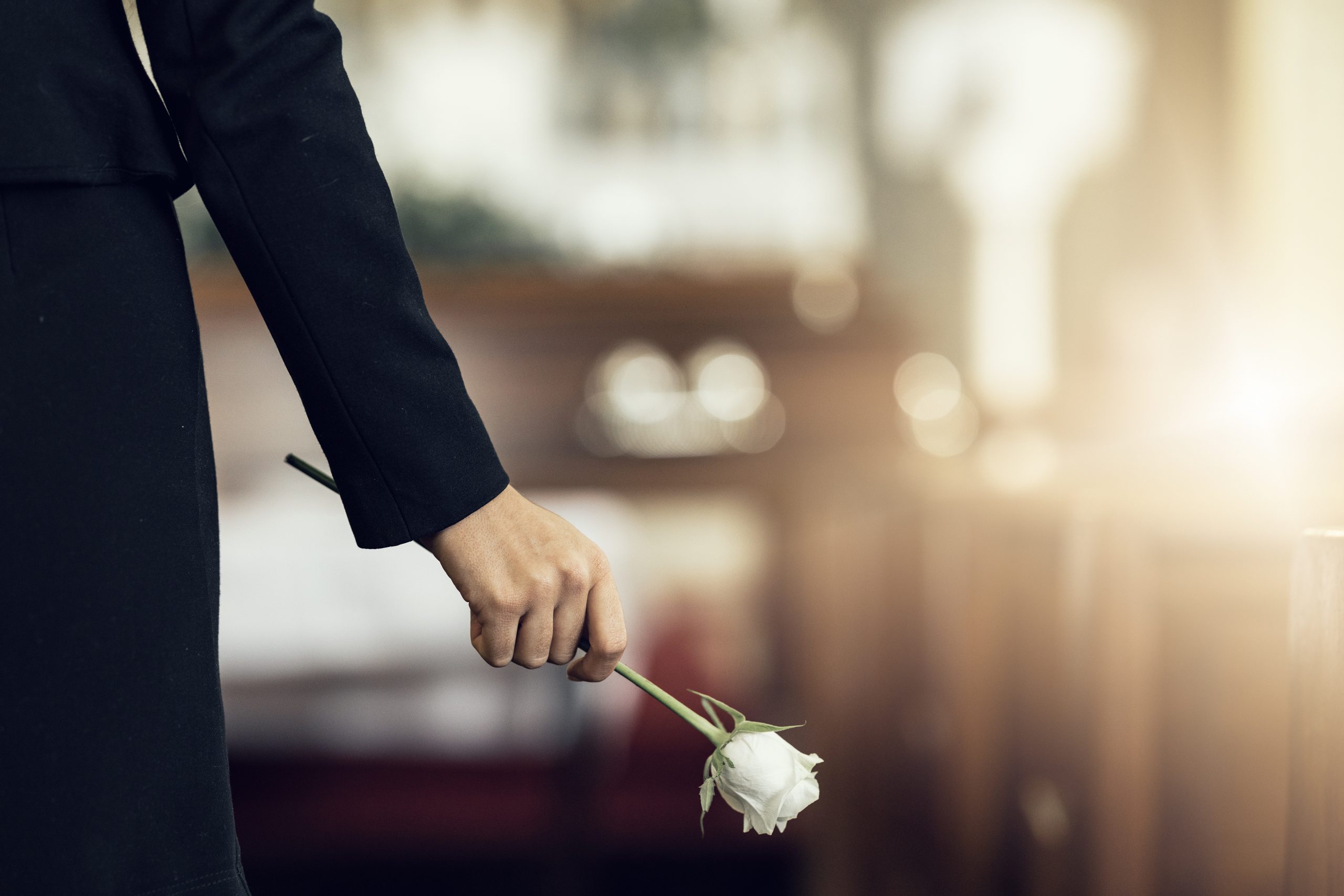 A person holds a while rose