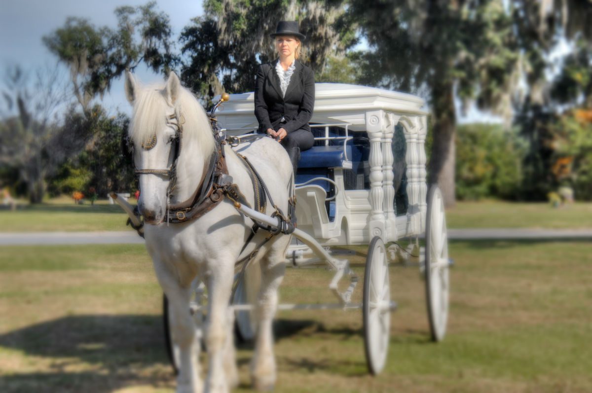 white horse with female moving a white carriage