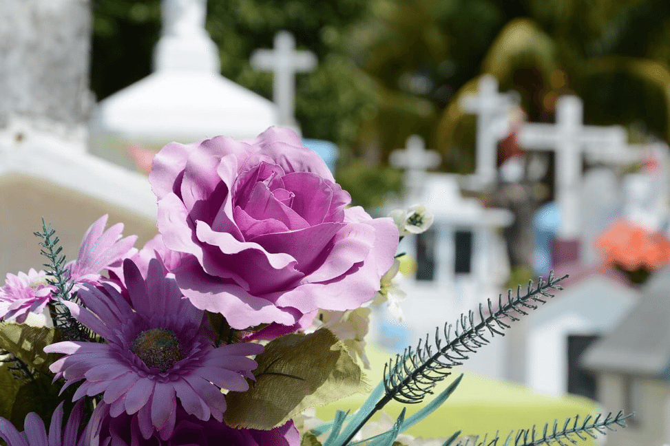purple flowers at a cemetery purple flowers at a cemetery